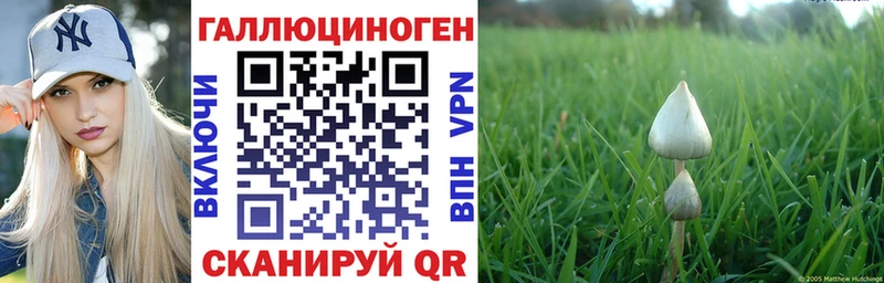 магазин  наркотиков  Новозыбков  Псилоцибиновые грибы MAGIC MUSHROOMS 