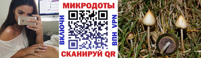 Псилоцибиновые грибы GOLDEN TEACHER Новозыбков